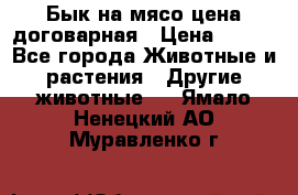 Бык на мясо цена договарная › Цена ­ 300 - Все города Животные и растения » Другие животные   . Ямало-Ненецкий АО,Муравленко г.